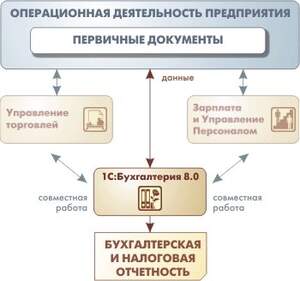 1С: Бухгалтерия предприятия 8